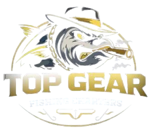 Top Gear Fishing Charters : Gold Coast Offshore Fishing Charters
