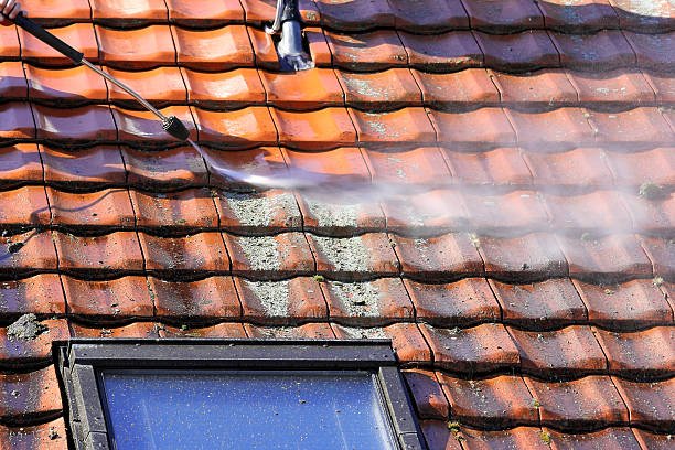 Bring Back a Cleaner Look to Your Roof This Spring
