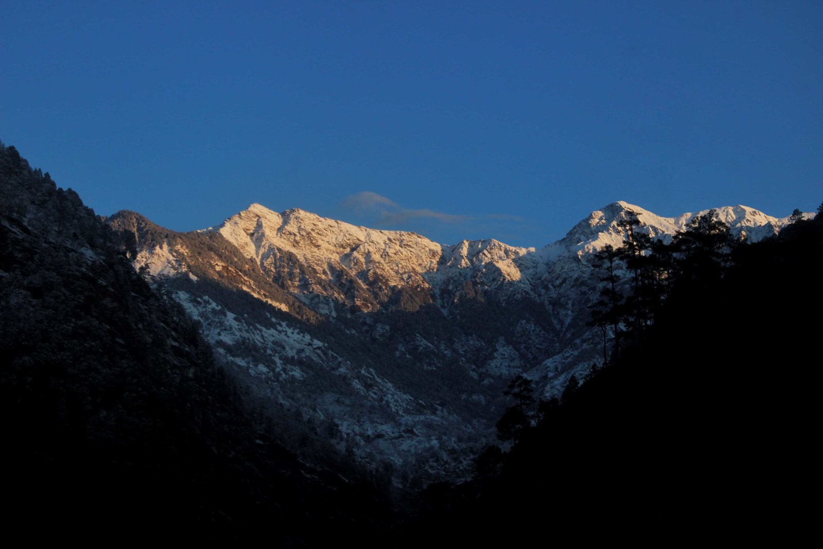 Mountainiax - Best trekking Company In Uttarakhand