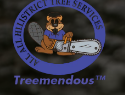 Arborist Services in Baulkham Hills | Professional Tree Care