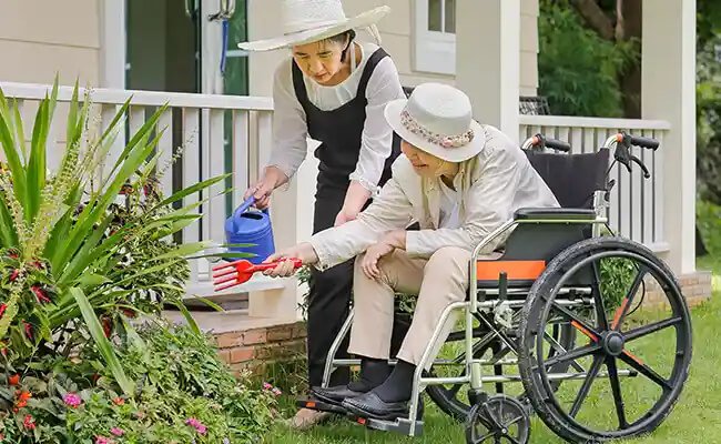 Need NDIS Garden Care Services Adelaide? Keep Your Outdoor Space Looking Great!