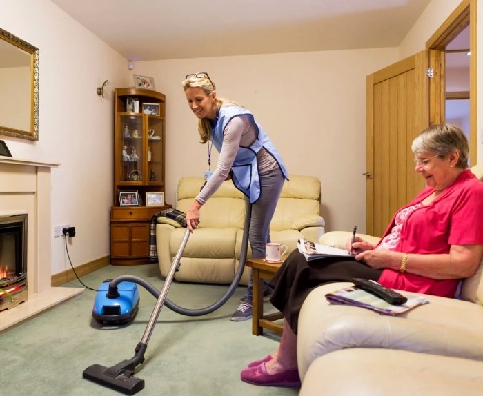 Book Professional Household Assistance If You Need It Now