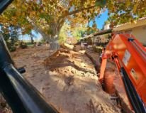 Compliant Arborist Services